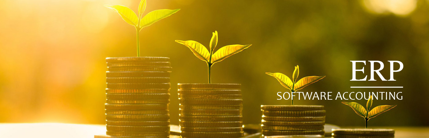ERP Accounting